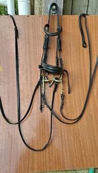 Drezurní uzda + páka a stihlo - 2