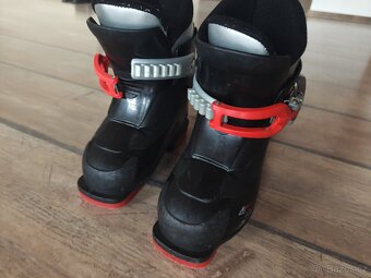 Přeskáče alpina - 2