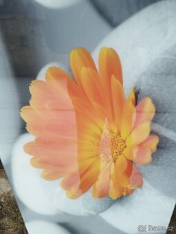 Skleněný obraz obikový.tvar 125x49cm - 2