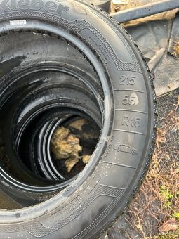 215/55 R16 4xletni pneu - 2