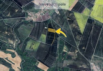Prodej pole v k.ú. Medlice - 2
