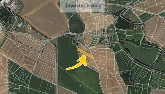 Prodej pole v k.ú. Brodek - 2