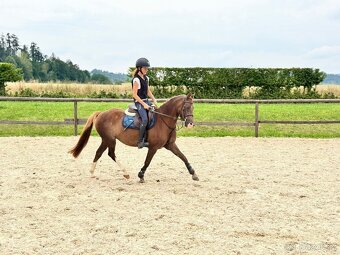 Sportovní pony - 2