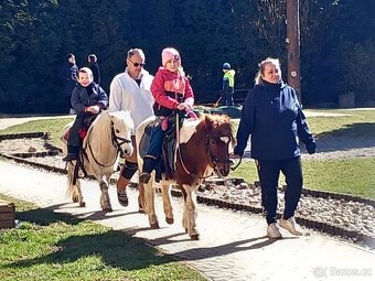 Pony kobylka - 2
