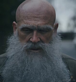 Filmový/divadelní plnovous - 2