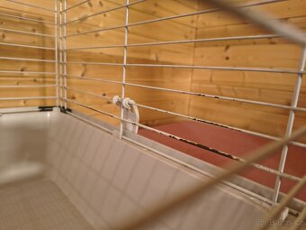 Klec Ferplast Cavie 80 - 2