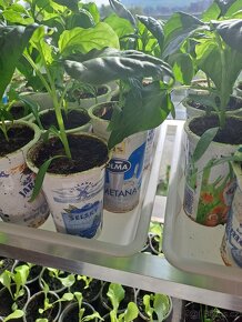 Stojan na sazeničky - 2