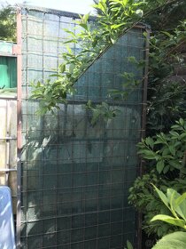 Dvoukřídlá brána/branka - 2