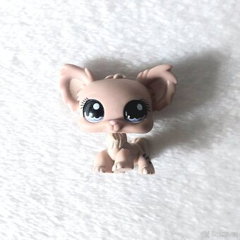LPS Littlest Pet Shop - Čivava #1060 - 2