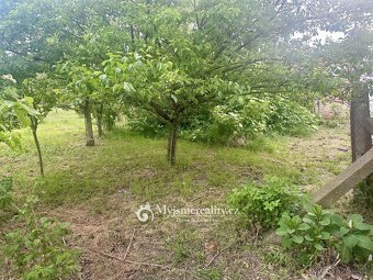 Prodej rodinné domy,  zastavěná plocha 77 m2 + sklep, dvůr,  - 2