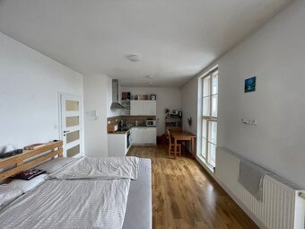 Pronájem světlého slunného bytu 1+kk v Třebíči - 2