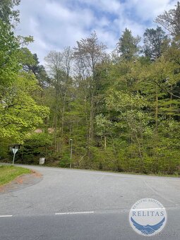 Prodej lesního pozemku 7 759 m² - 2