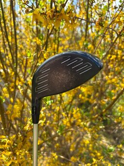 Titleist 917 D2 driver 12.0 - 2