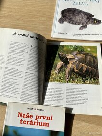 knížky - Želvy a terárium - 2