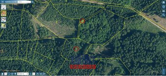 Prodej mladého lesa u Chloumku, ev.č. VŠ-7997 - 2