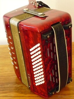 Nabízím akordeon Delicia Junior IV - 2