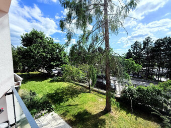 Prodej krásného bytu 1+1 s lodžií a zahradou 44 m² -Vinařská - 2