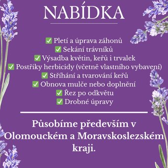 Zahradní práce a kácení - 2