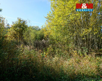 Prodej pozemku k bydlení, 3689 m², Třebeň - 2