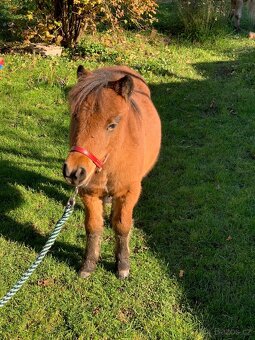 Mini pony bez původu - 2