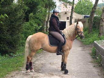 Hafling k pronájmu - 2