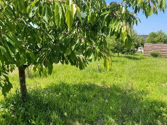 Stavební pozemek 1660 m² Petkovy, Mladá Boleslav - 2