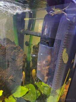 Akvárium 450 l. - 2