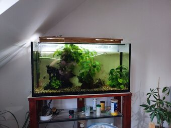 Akvárium 225L 115x36x60cm - 2