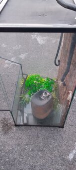 Prodám terárium příslušenství - 2