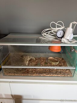 Terarium 60x30x30 - 2