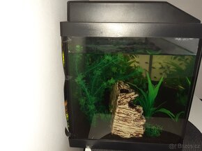 Akvarium - 2