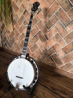 Banjo Gibson - 2