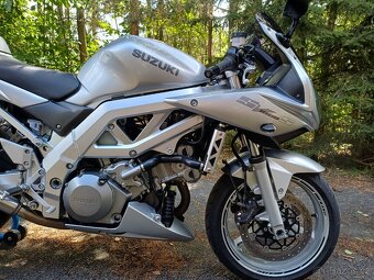 Suzuki SV 1000S - 2