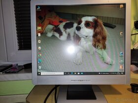 monitor zn: ASUS MM17D 17" - 2