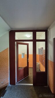 Plastové vchodové dveře z panelového domu 80 cm - 2