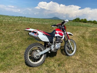 Yamaha TT 600 R - 2