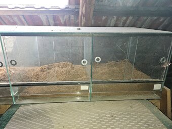 Terarium - 2