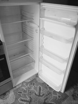 🧊 VELKÁ CHLADNIČKA Electrolux ERC25001W – 253 l - 2