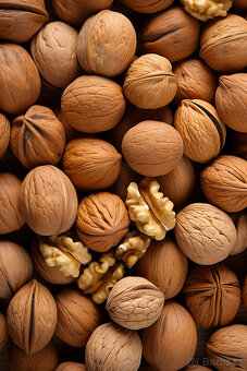 vlašské ořechy neloupané - 2