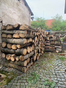 Palivové listnaté dřevo - 2