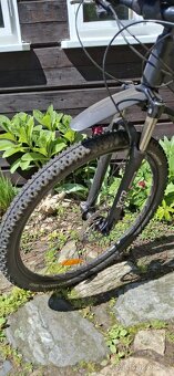 Kolo Tuwan comp 29 - 2