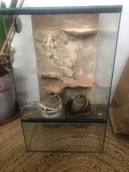 Terárium 50x30x30 - 2