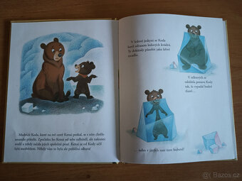 Medvědí bratři - 2