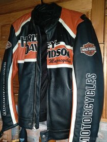 Harley Davidson bunda - 2