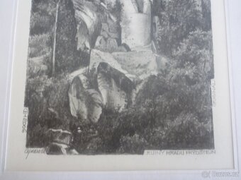 Helena Cejnarová - kresba tužkou - 2