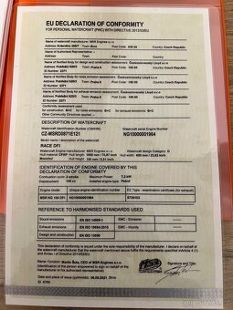 JETSURF RACE DFI 2021 - 2