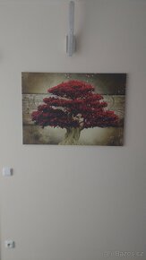 Obraz na plátně - 2
