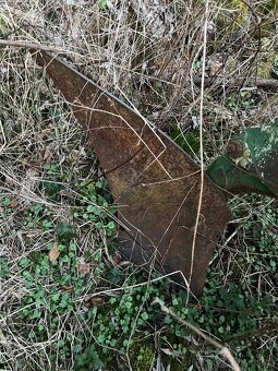 Pluh dvouradličný - 2