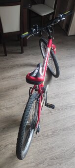 Kolo 24" Leader Fox Buffalo - 2
