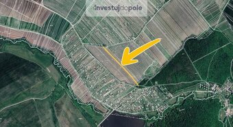 Prodej vinice v k.ú. Strážnice na Moravě - 2